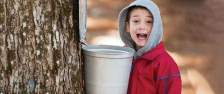 Get Sticky at the Maple Syrup Family Workshop in Grosse Pointe Woods!