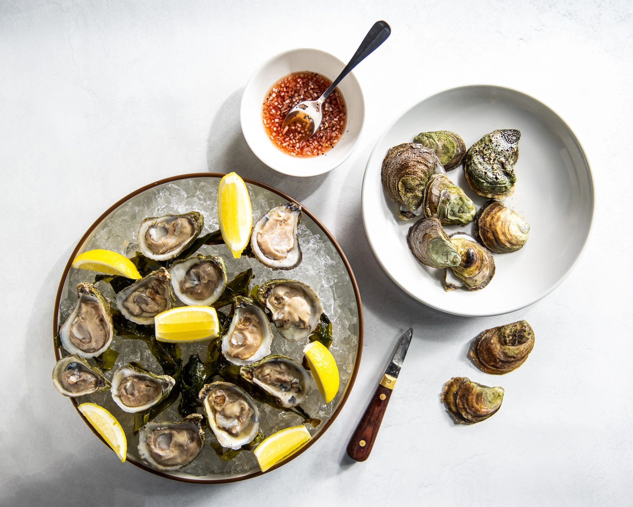 Dive into the heart of New Orleans at Brine Oyster House – your destination for fresh oysters and a lively atmosphere.