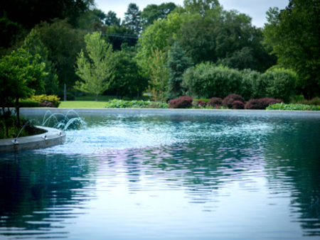 Discover Patterson Park in Grosse Pointe: Nature, Recreation, and Community by the Water