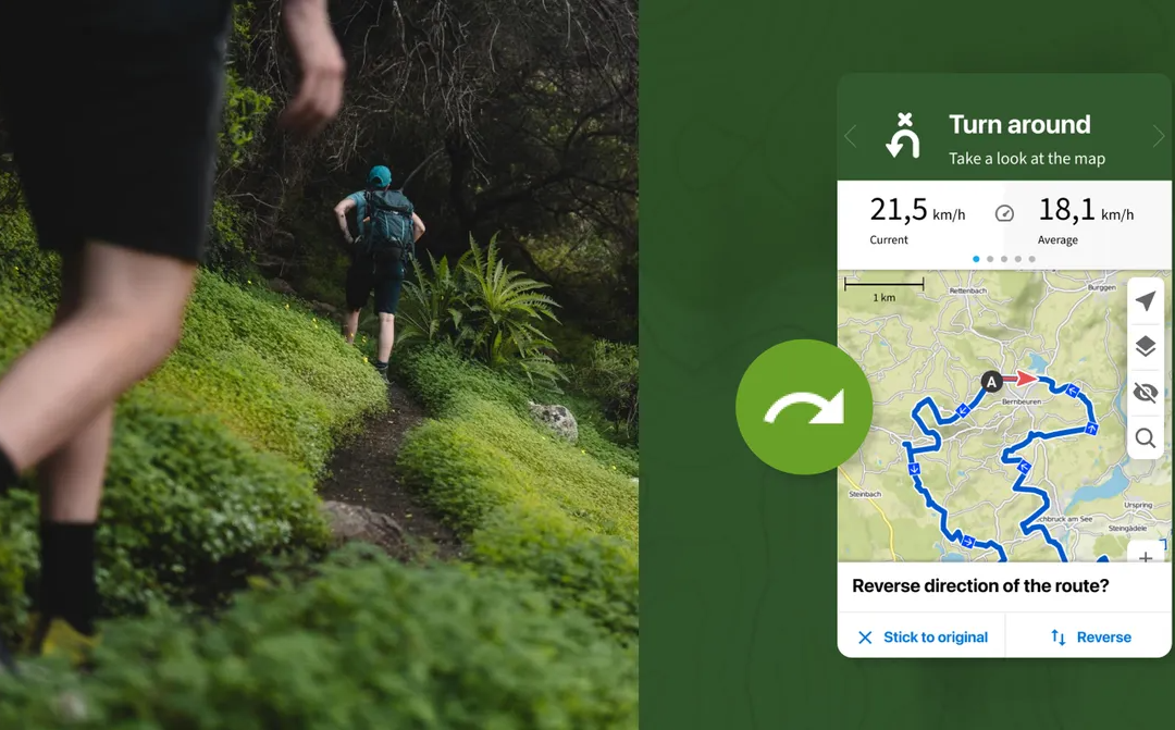 Exploring Nature in Grosse Pointe: Top Hiking Routes and How Komoot Can Enhance Your Experience