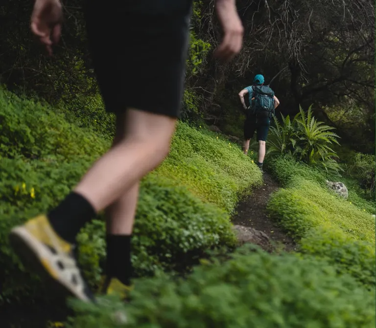 Exploring Nature in Grosse Pointe: Top Hiking Routes and How Komoot Can Enhance Your Experience