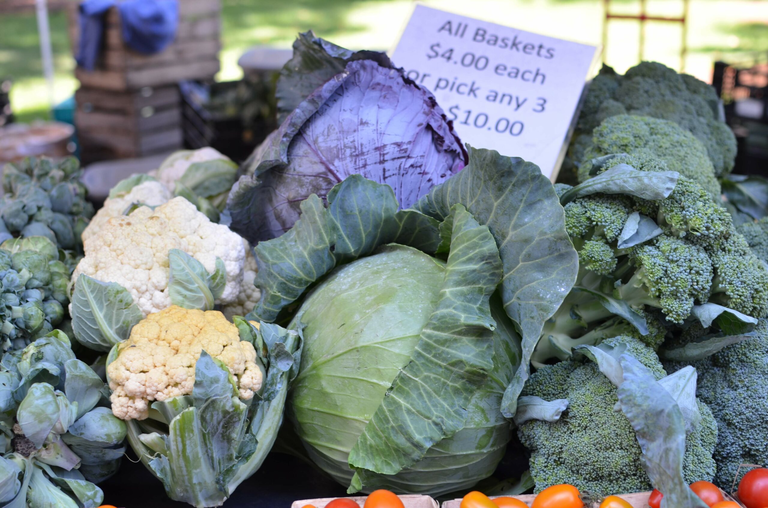 A vibrant Michigan farmers market, capturing the essence of community and local produce.